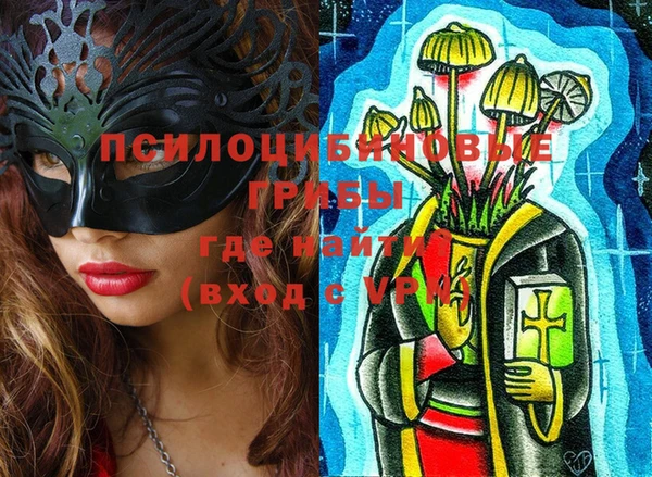гашик Липки