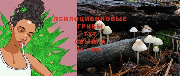 гашик Липки