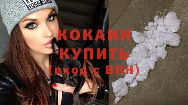 гашик Липки