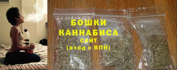 гашик Липки