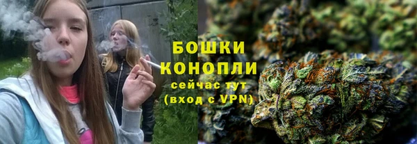 молекула духа Лиски