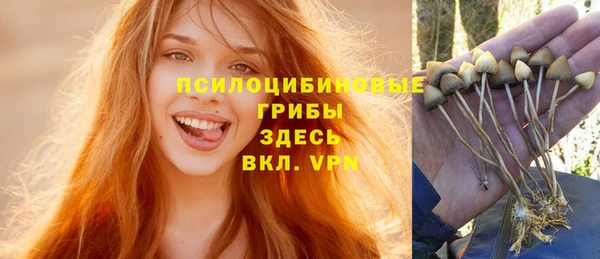 молекула духа Лиски