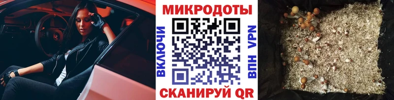 Псилоцибиновые грибы GOLDEN TEACHER  Суровикино 