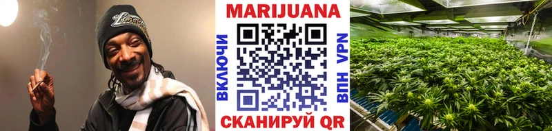 как найти   Суровикино  Шишки марихуана семена 